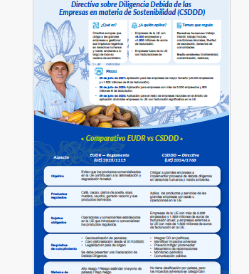 Infografia Confecamaras